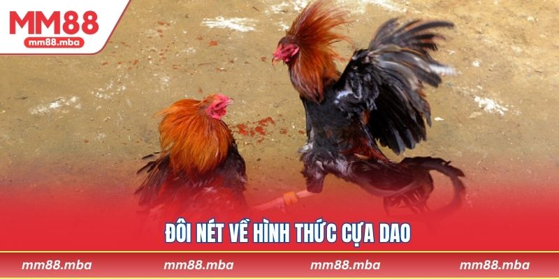 Đôi nét về hình thức cựa dao