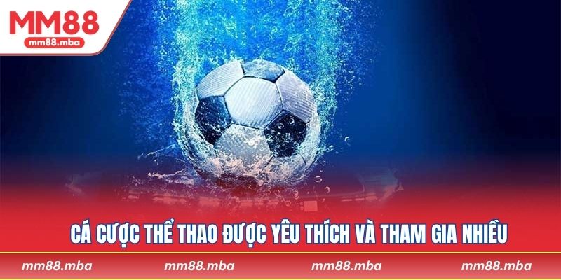 Cá cược thể thao được yêu thích và tham gia nhiều