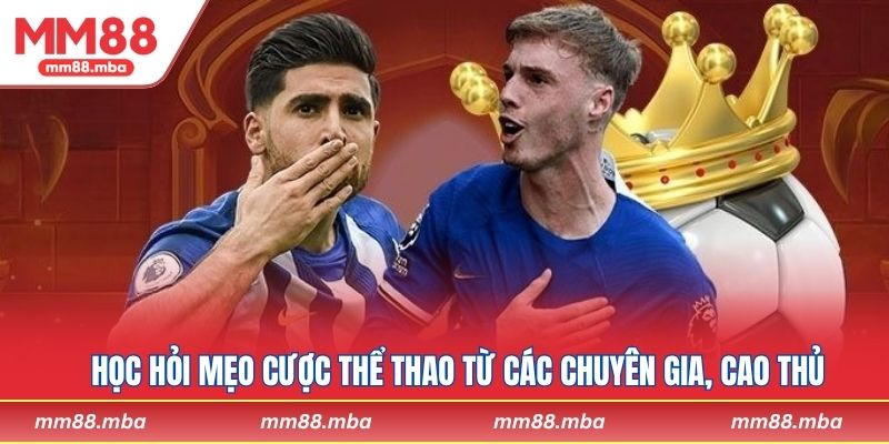 Học hỏi mẹo cược thể thao từ các chuyên gia, cao thủ